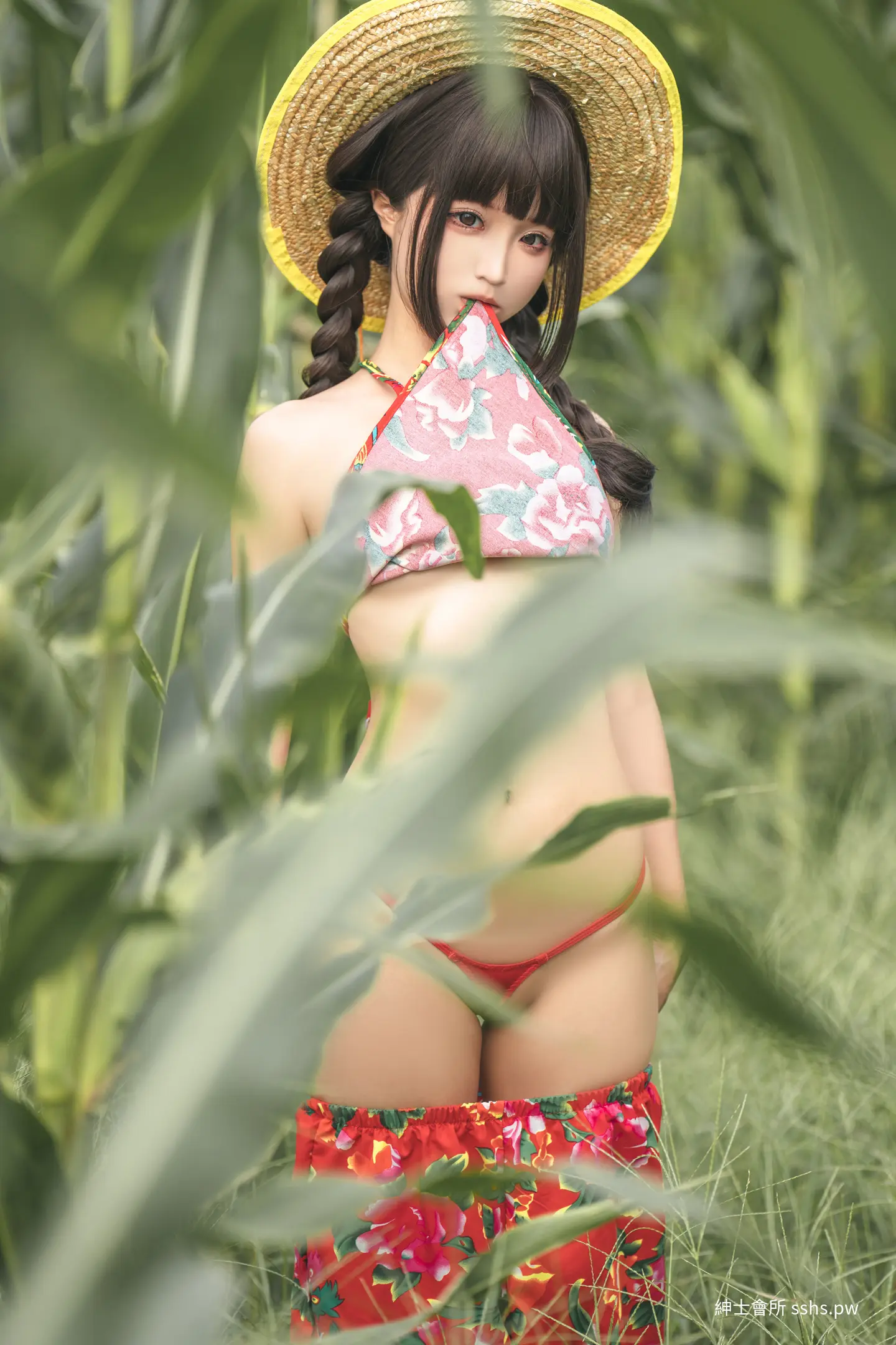 图片 5