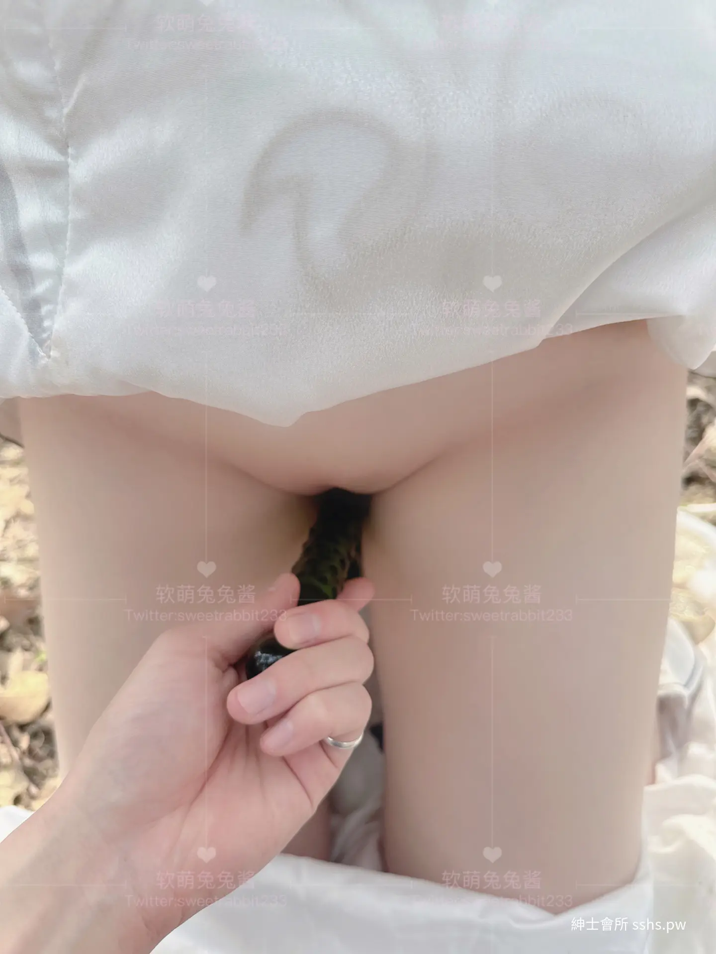 图片 4