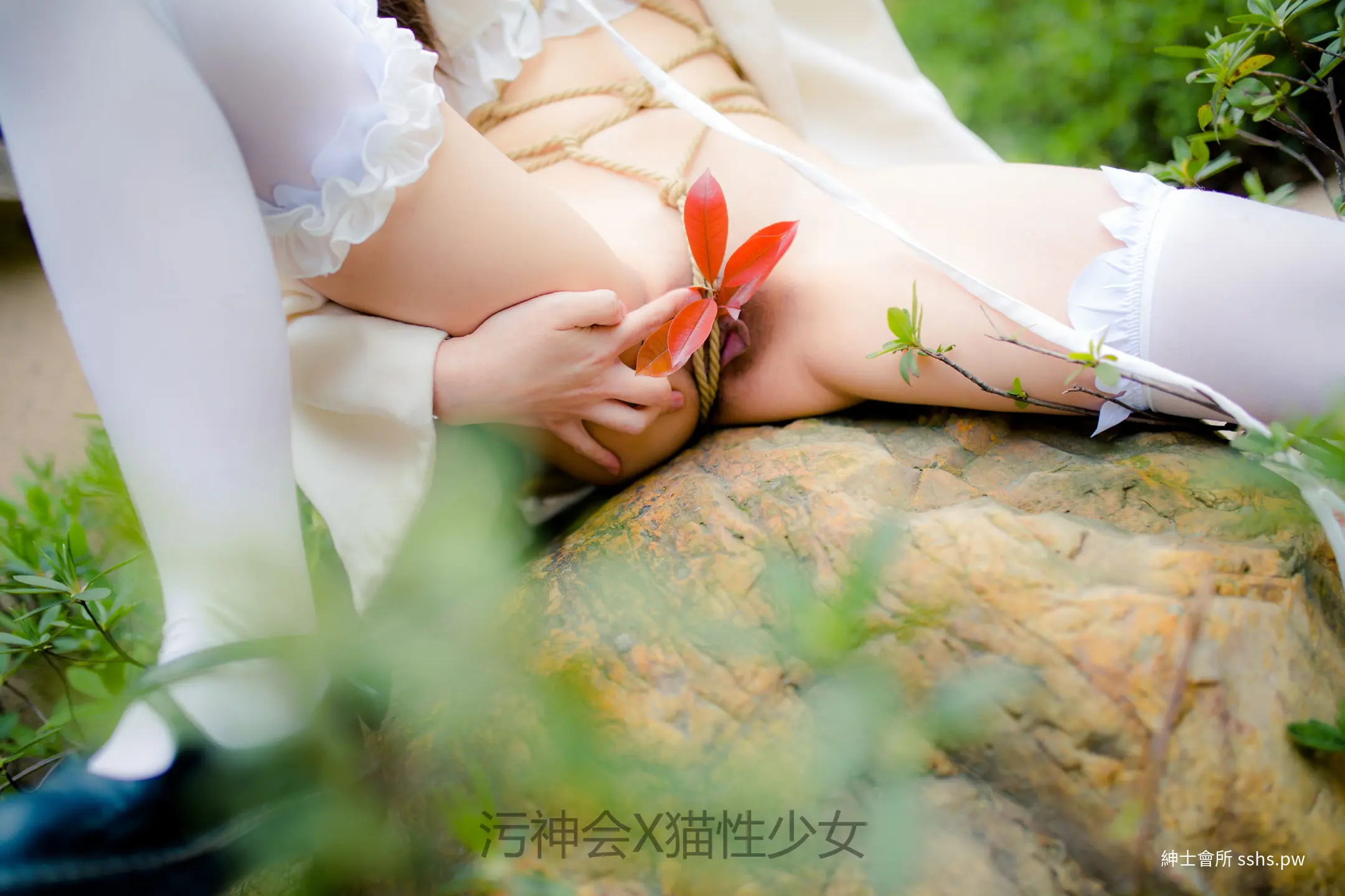 图片 2
